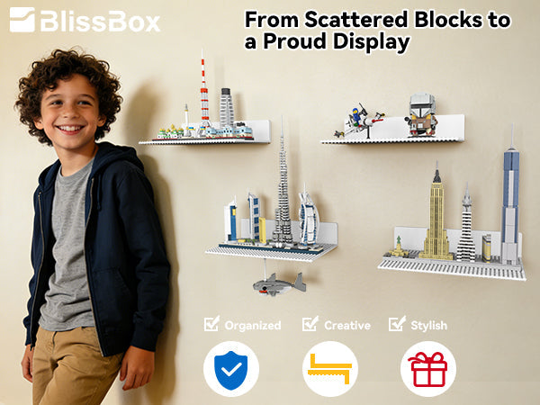 Why Every Lego Collector Needs a Dedicated Display System at Home